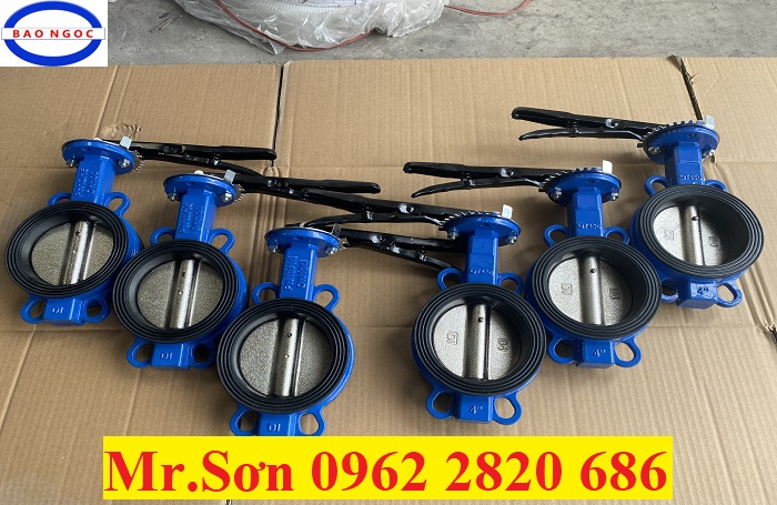 van cánh bướm dn100, dn125